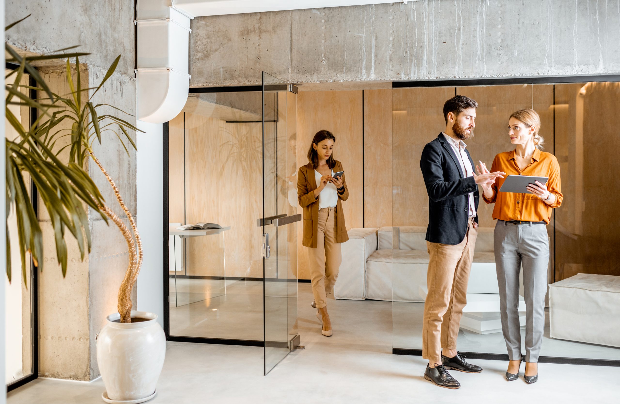 Interim CFO at a $75M Digital Consulting Firm to help move its finance function from CA to TX