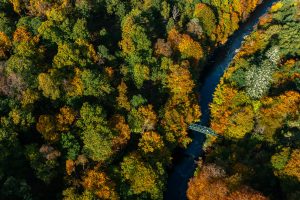 Cross-border financial integration