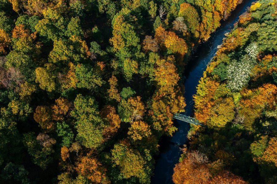 Cross-border financial integration