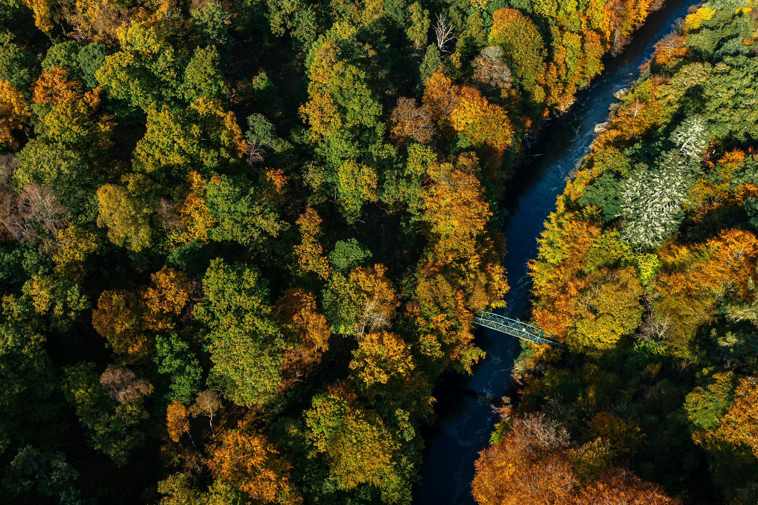 Streamlining Cross-Border Financial Integration of a Canadian Add-On for a Environmental Consulting Firm
